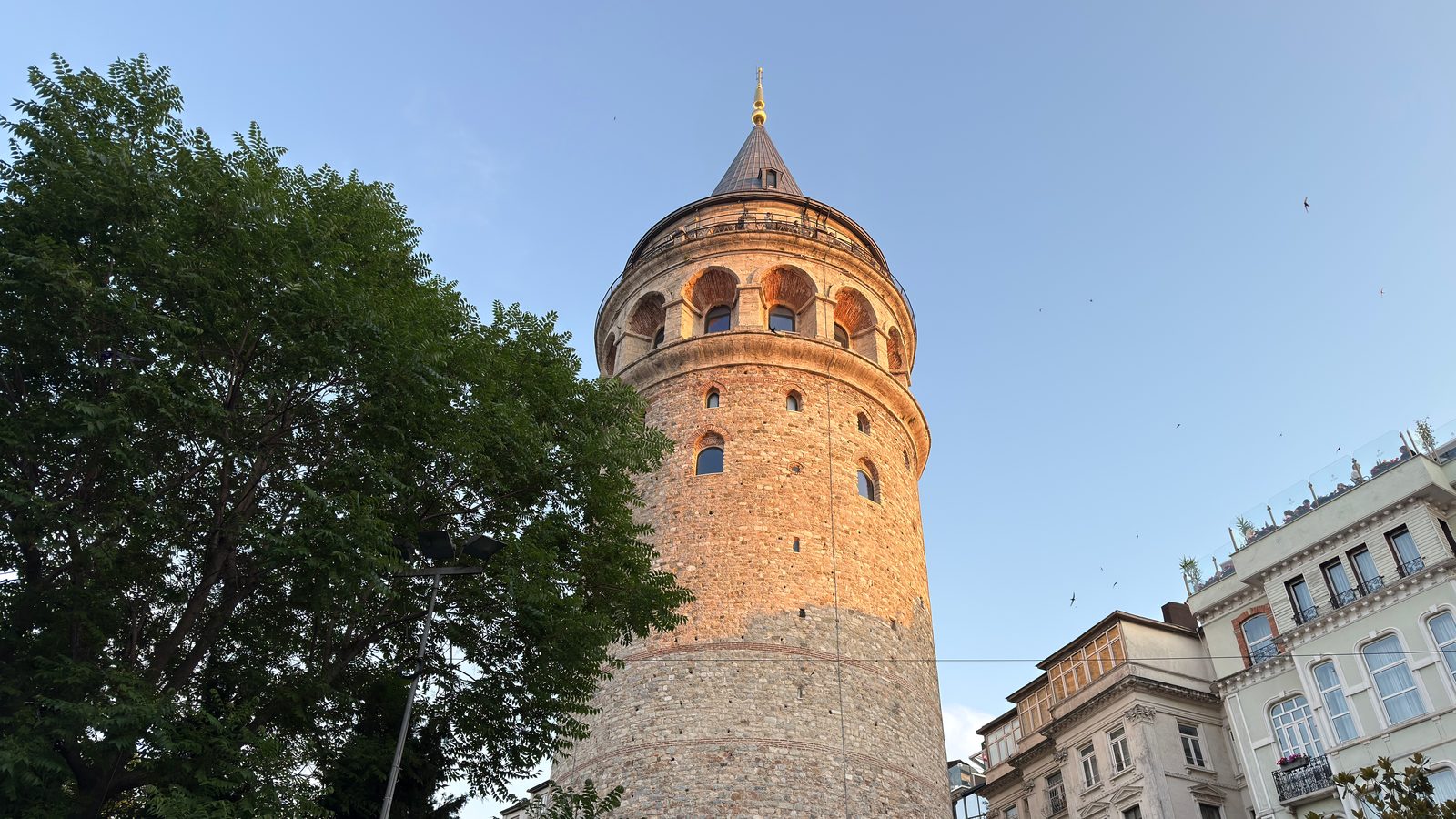 Galata Tower in warm evening light, seen from below, with its conical cap and arched windows beside a leafy tree