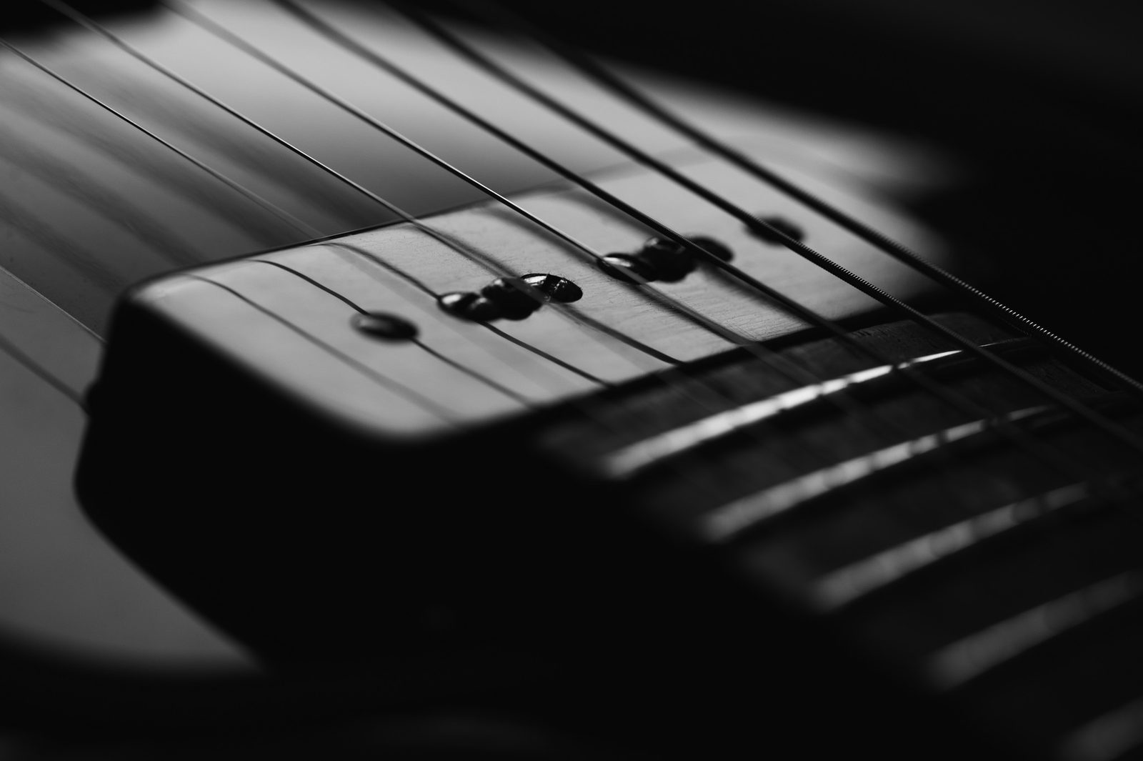 Strings of a guitar.