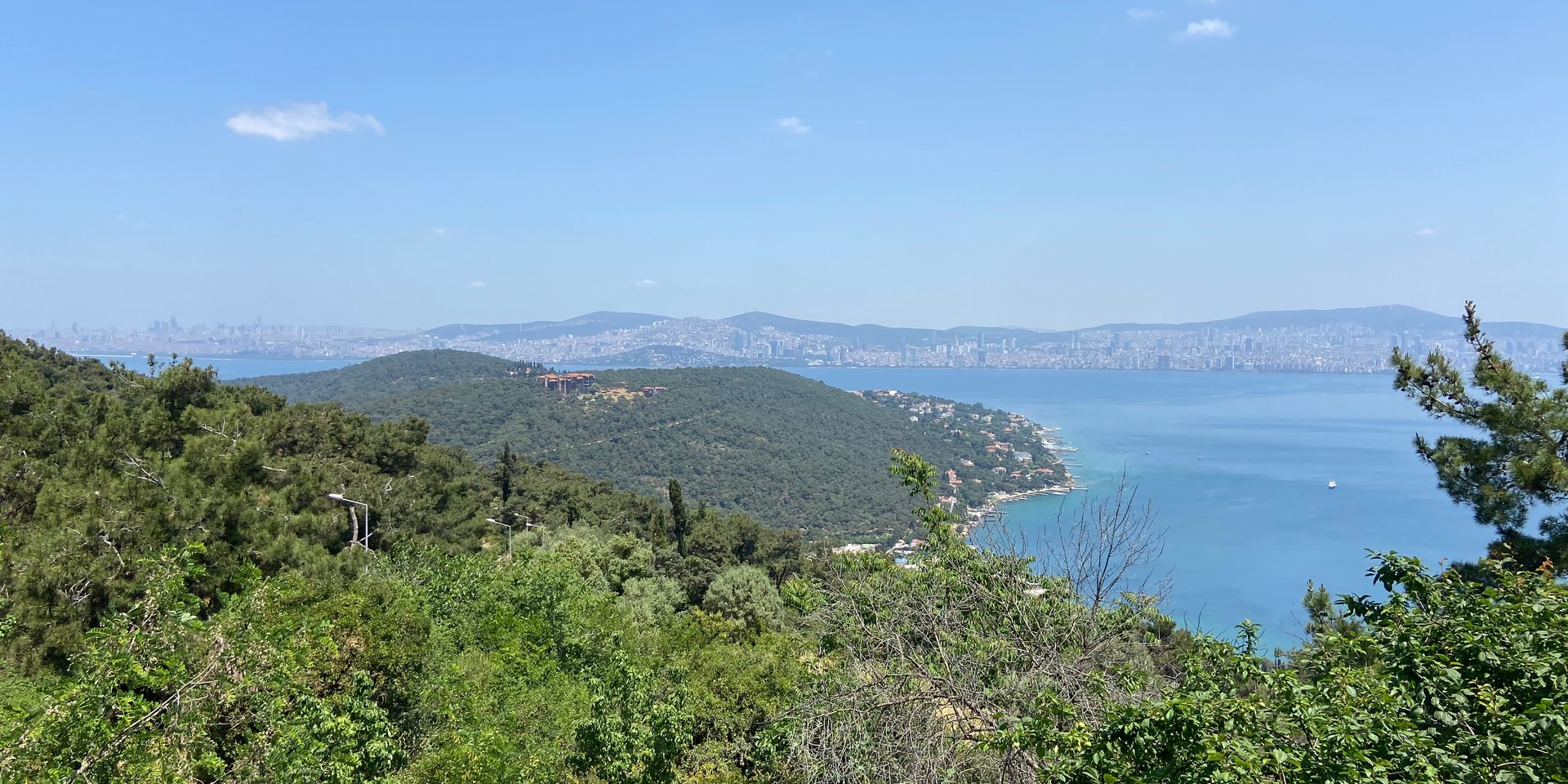 View over pine-covered slopes on Büyükada to a forested headland, calm sea and the hazy Istanbul skyline beyond