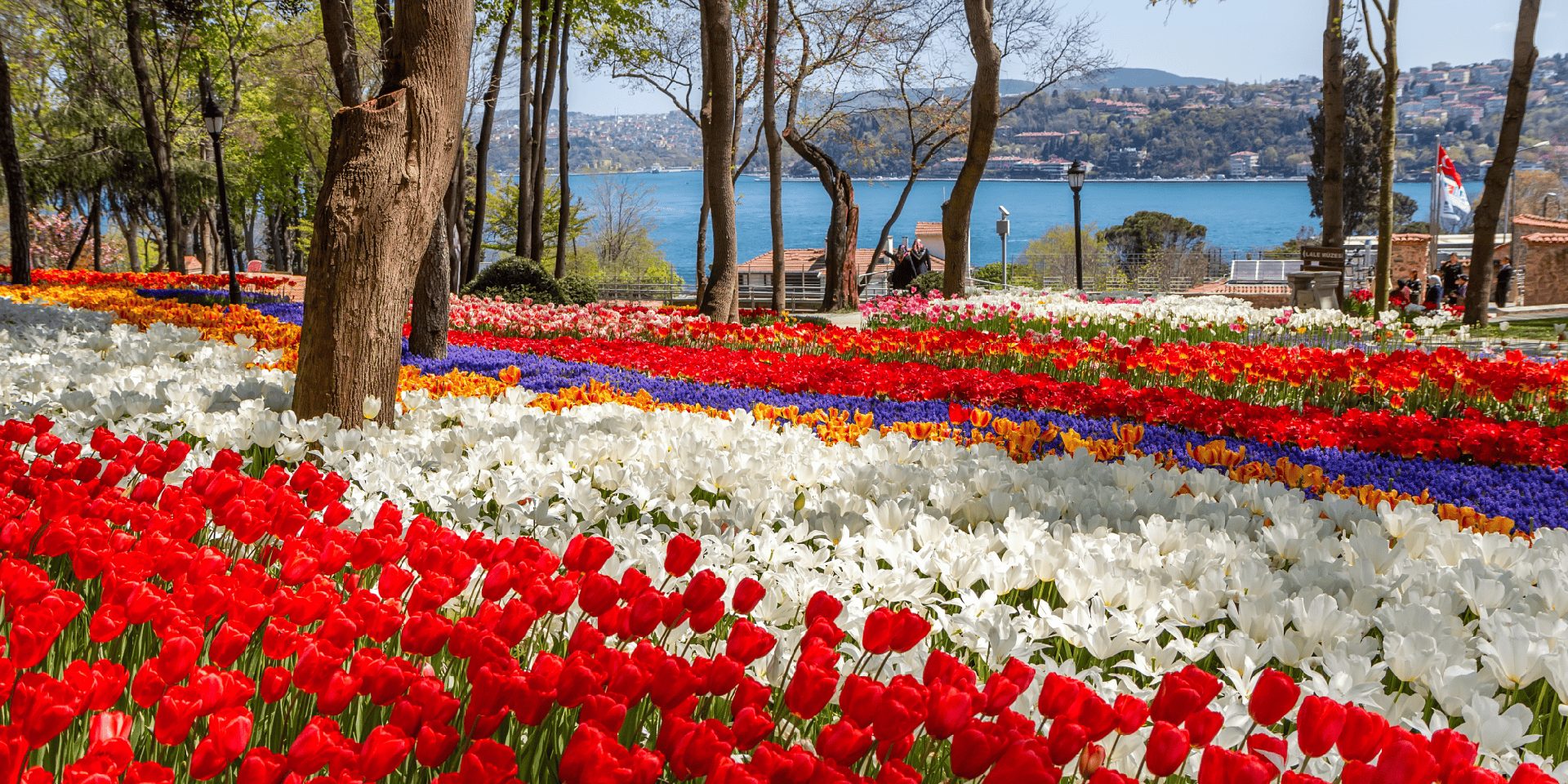 Tulip festival in Emirgan Park in Istanbul.
